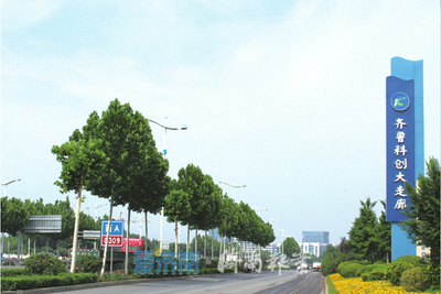 答卷2021 济南软件与信息技术服务业——拼搏不息，“走在前”的强劲引擎