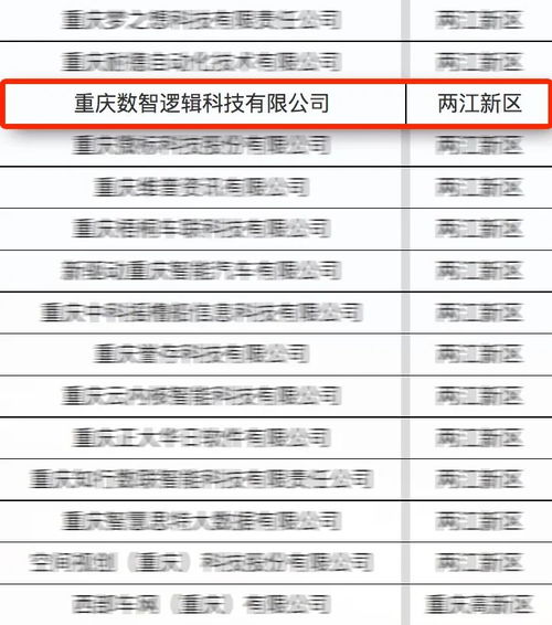 亚信科技旗下数智逻辑入选首批重庆市软件和信息服务业‘满天星’示范企业